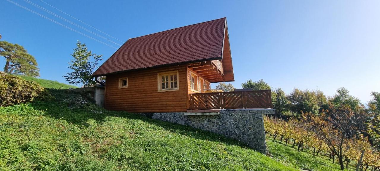 Wine Panorama House Vila Jastrebarsko Exterior foto