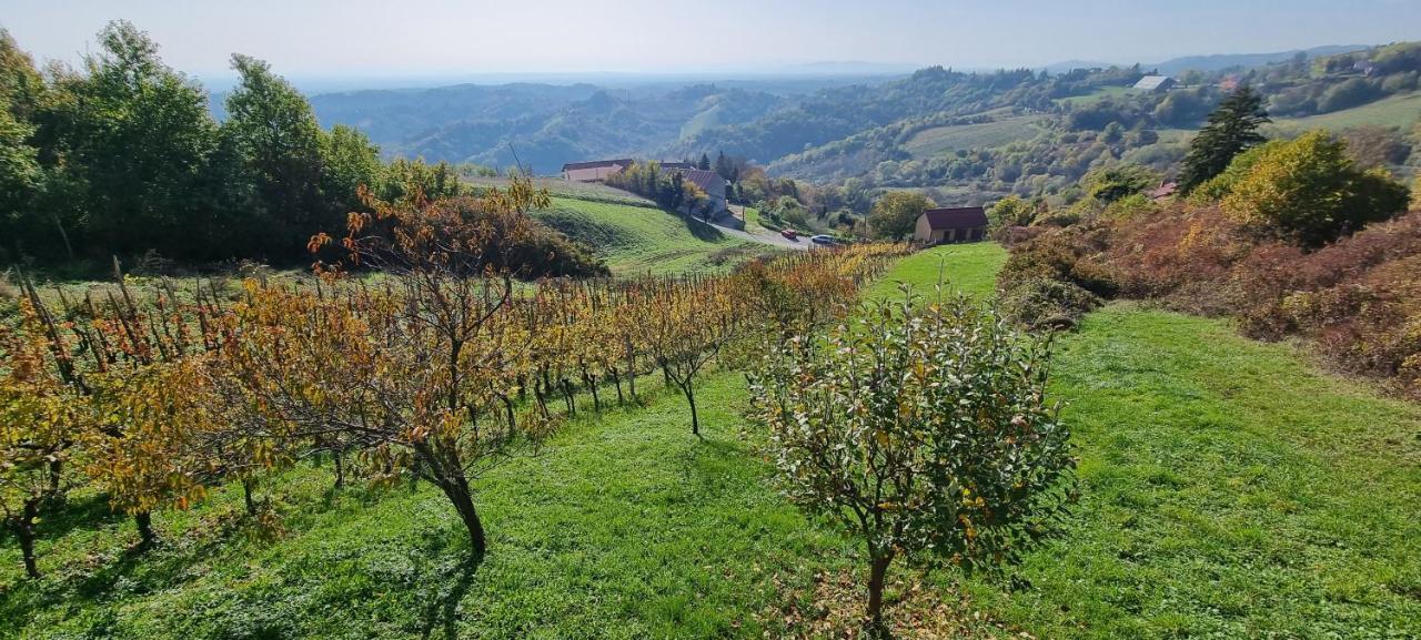 Wine Panorama House Vila Jastrebarsko Exterior foto