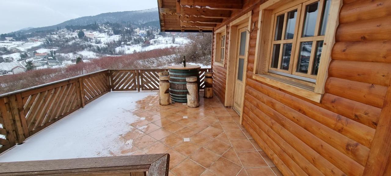 Wine Panorama House Vila Jastrebarsko Exterior foto